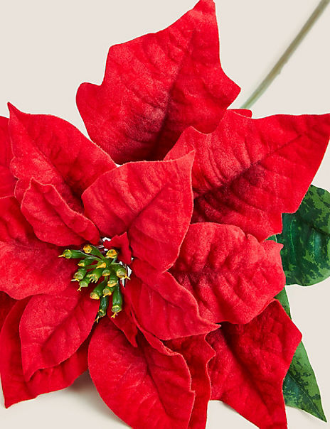 Set of 2 Poinsettia Single Stems