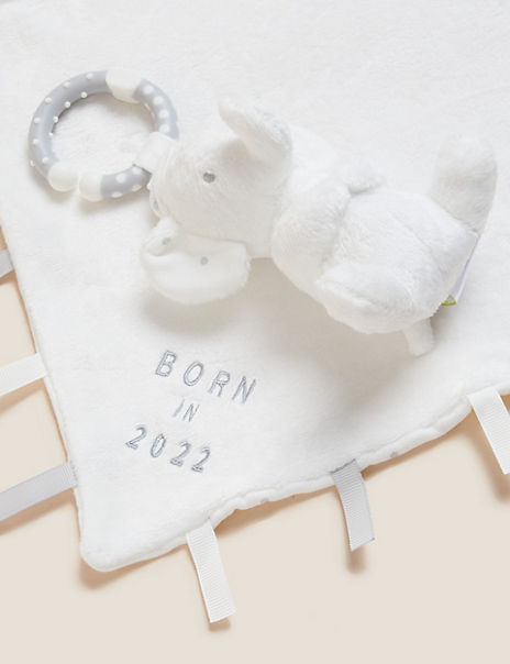 Born In 2022 Soft Toy & Comforter