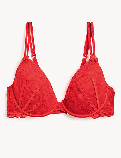 Linea Lace Wired Plunge Bra A-E