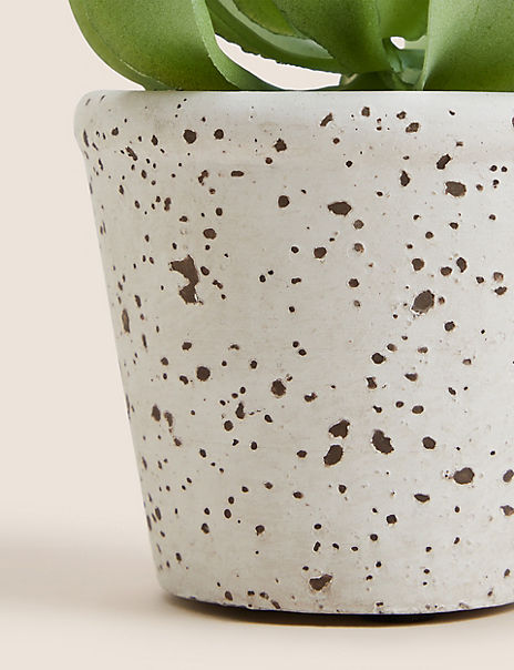 Artificial Succulent in Ceramic Pot