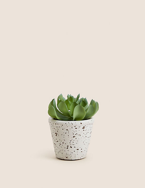 Artificial Succulent in Ceramic Pot