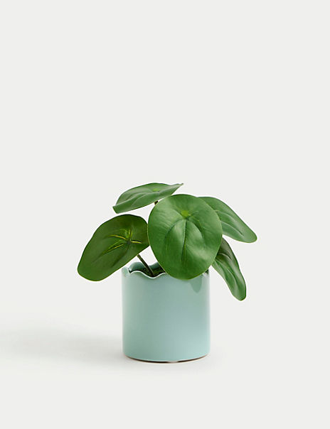  Artificial Mini Chinese Money Plant in Pot 