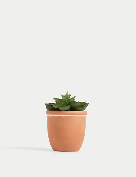Artificial Mini Succulent in Terracotta Pot