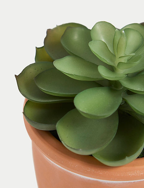 Artificial Mini Succulent in Terracotta Pot