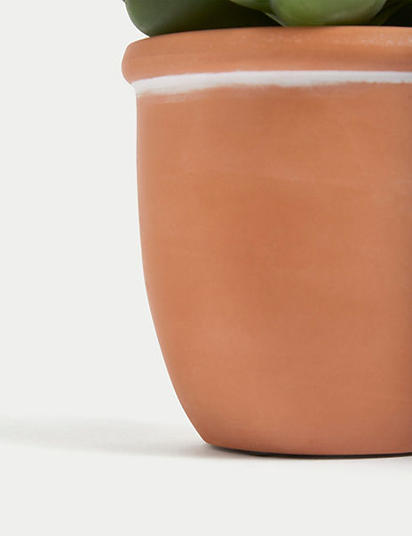 Artificial Mini Succulent in Terracotta Pot