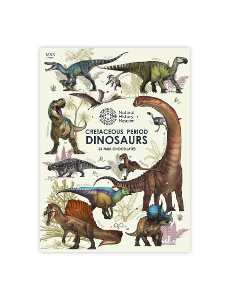 Dinosaurs Advent Calendar