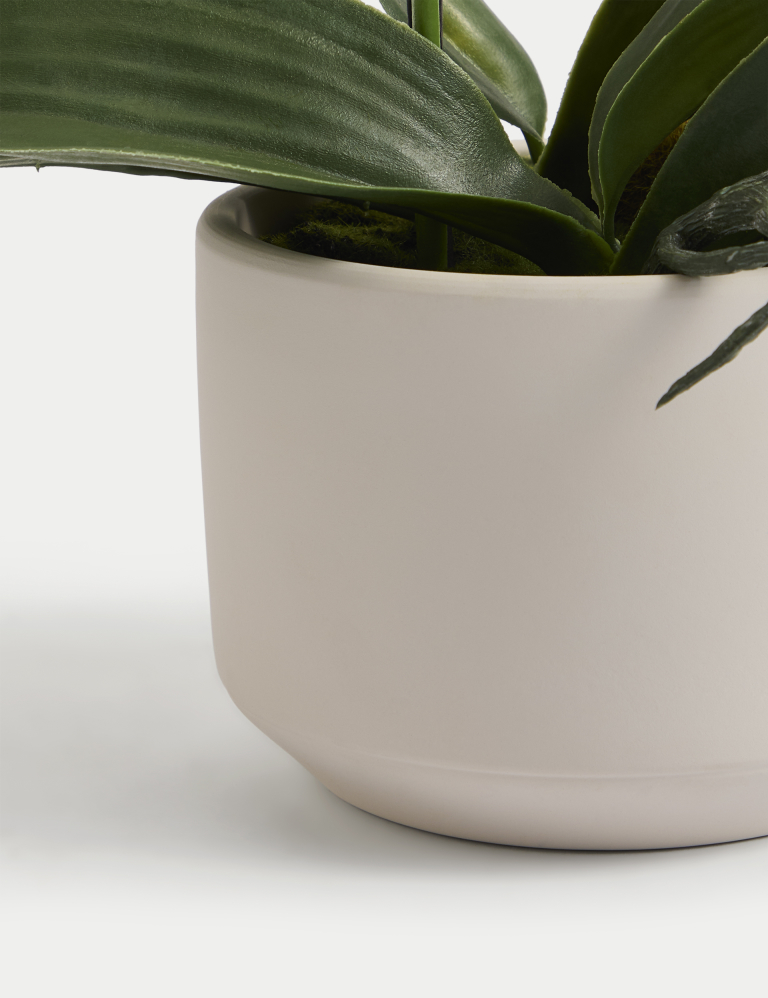 Artificial Real Touch Medium Orchid in Ceramic Pot