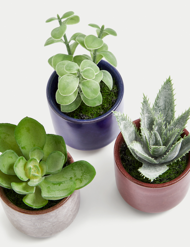 Set of 3 Artificial Mini Succulents in Pots