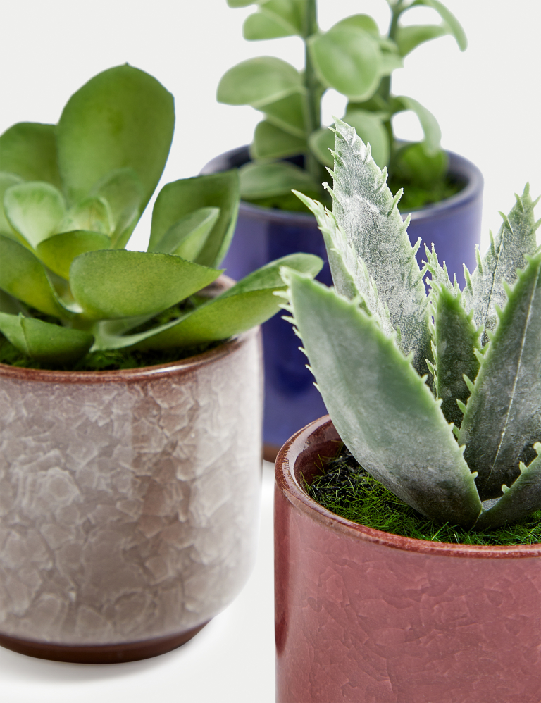 Set of 3 Artificial Mini Succulents in Pots