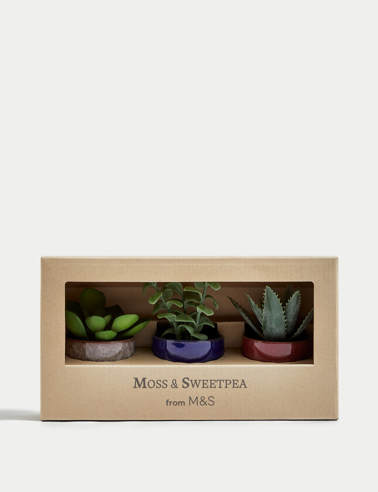 Set of 3 Artificial Mini Succulents in Pots