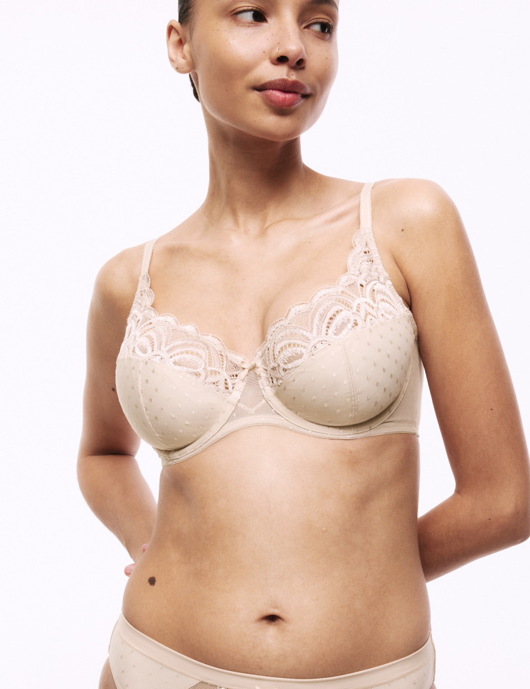 Amelia Lace Wired Full Cup Bra (A-E)