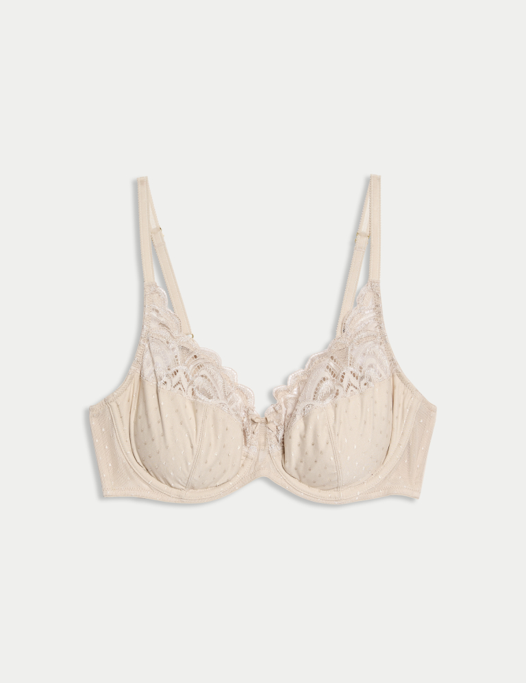 Amelia Lace Wired Full Cup Bra (A-E)