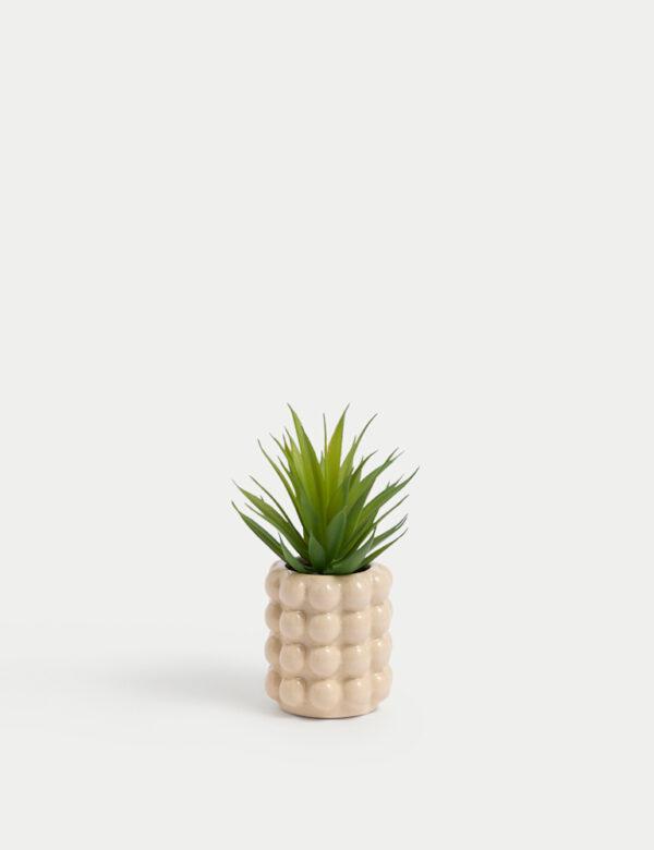 Artificial Mini Air Plant in Bobble Ceramic Pot