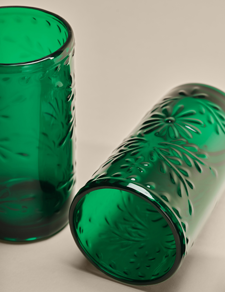 Set of 4 Boho Picnic Hi Ball Glasses