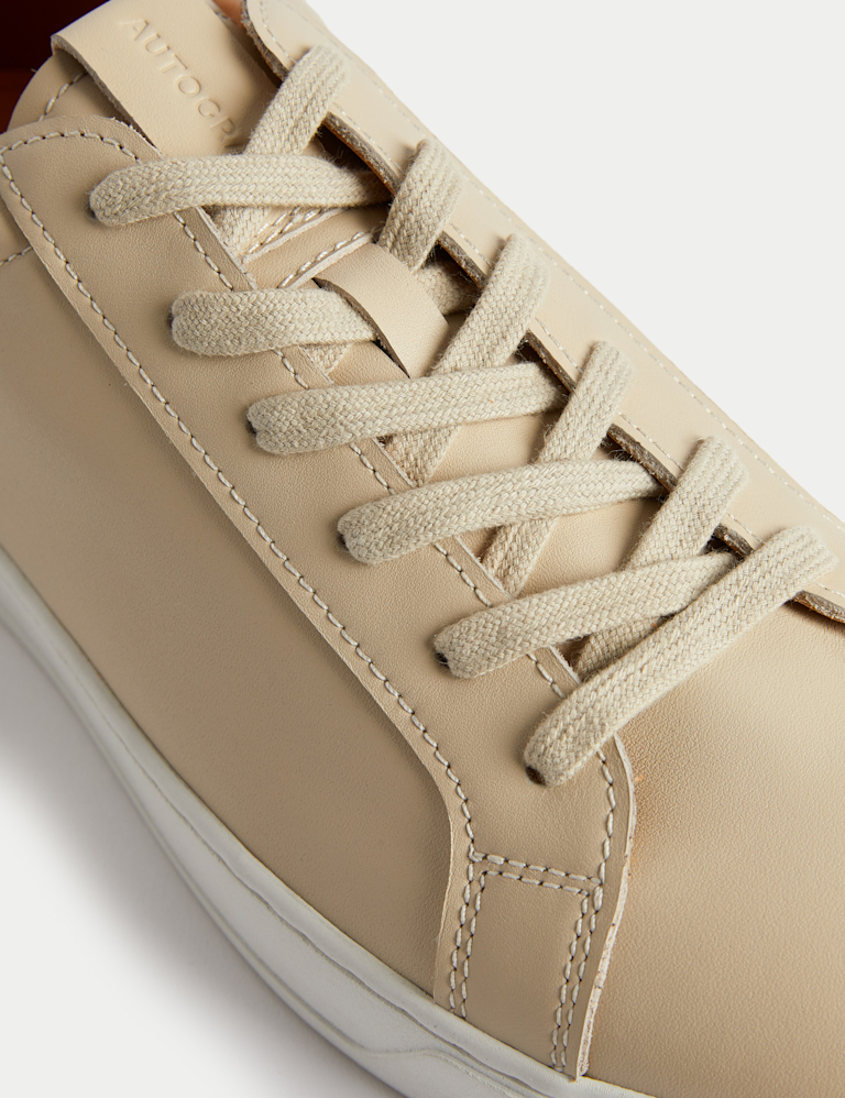 Leather Lace-Up Trainers