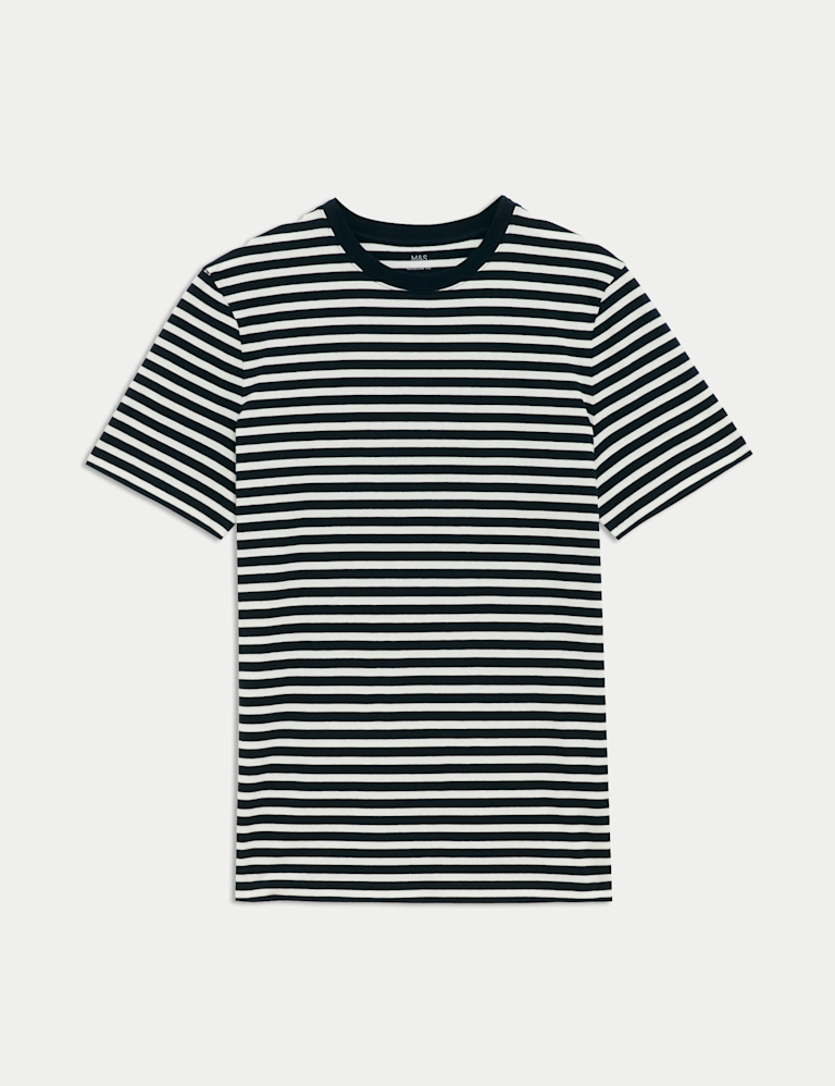 Regular Fit Crew Neck Striped T-Shirt