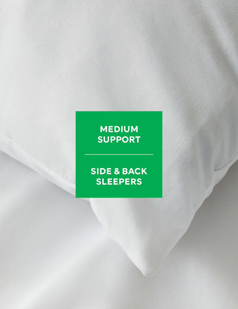 2pk Microfibre Medium Pillows