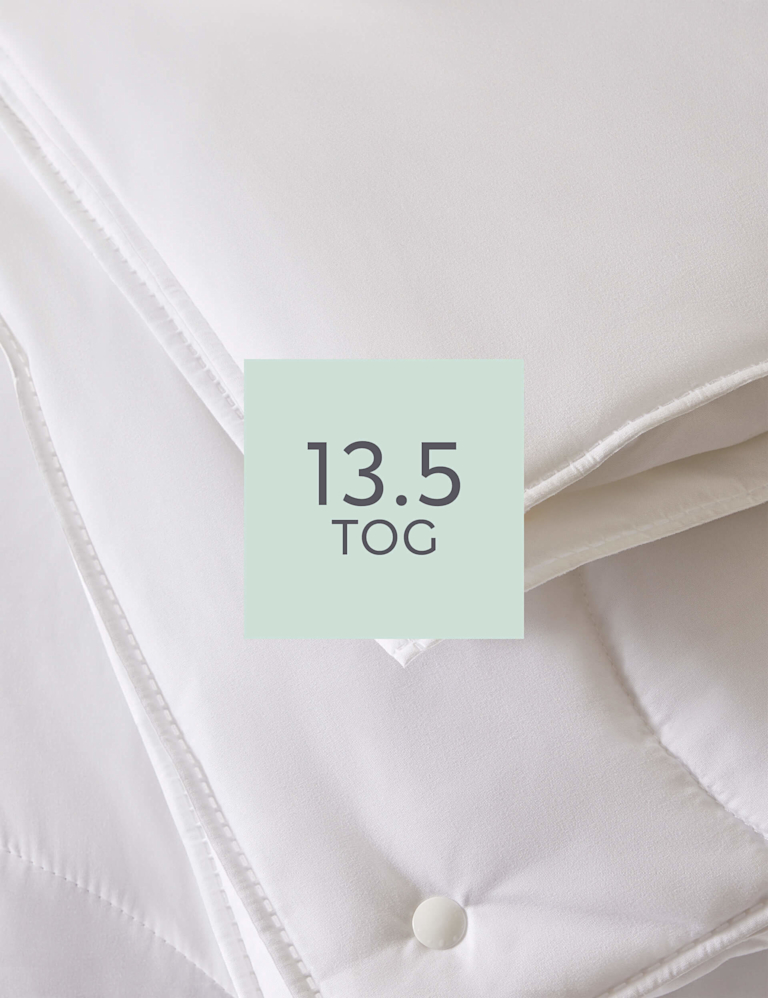 Anti Allergy Plus 13.5 All Seasons Tog 3-in-1 Duvet