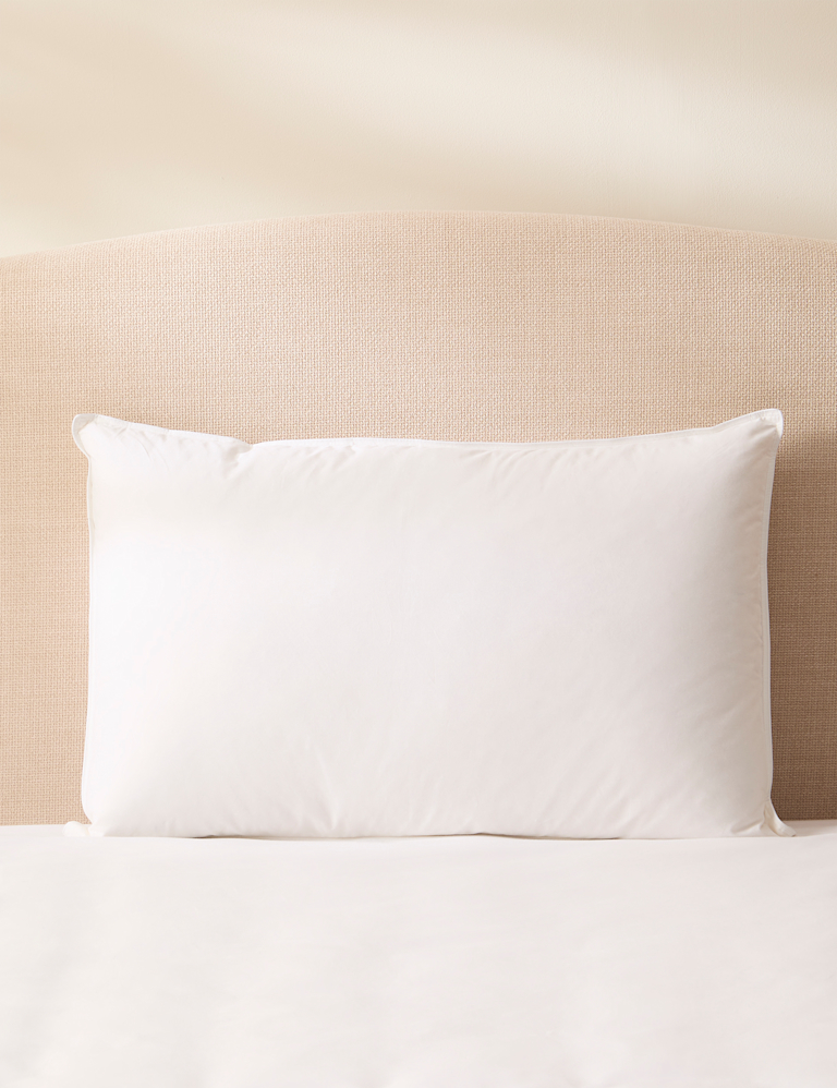 2pk Duck Feather & Down Firm Pillows