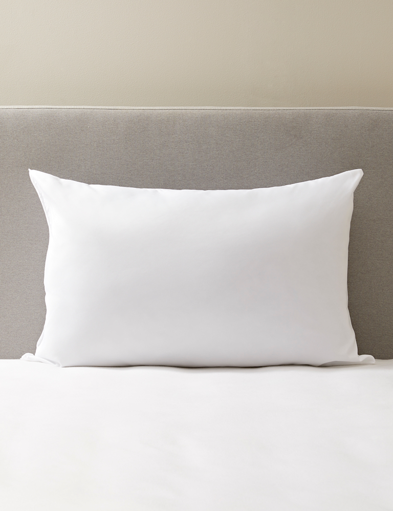 2pk Simply Soft Soft Pillows