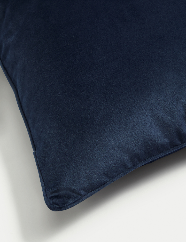 Velvet Piped Cushion