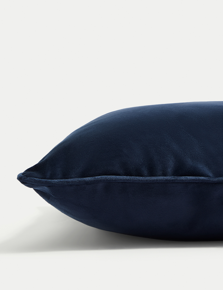 Velvet Piped Cushion