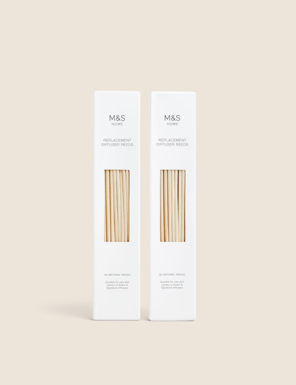 Set of 60 Natural Diffuser Reeds