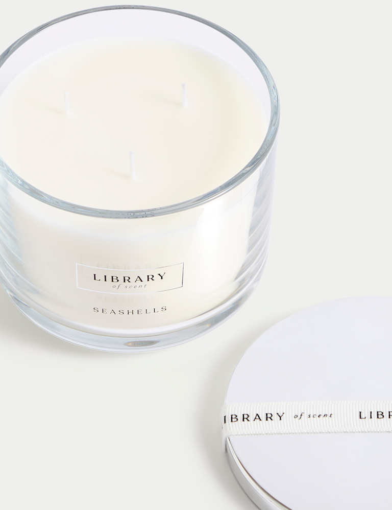 Seashells 3 Wick Candle