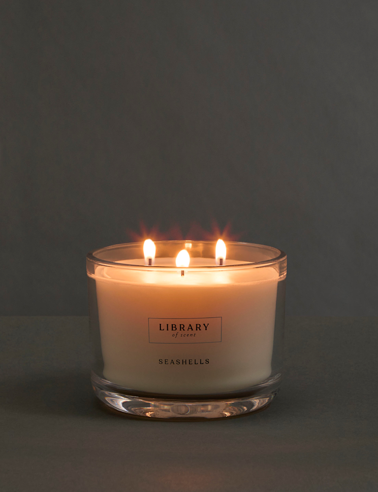 Seashells 3 Wick Candle