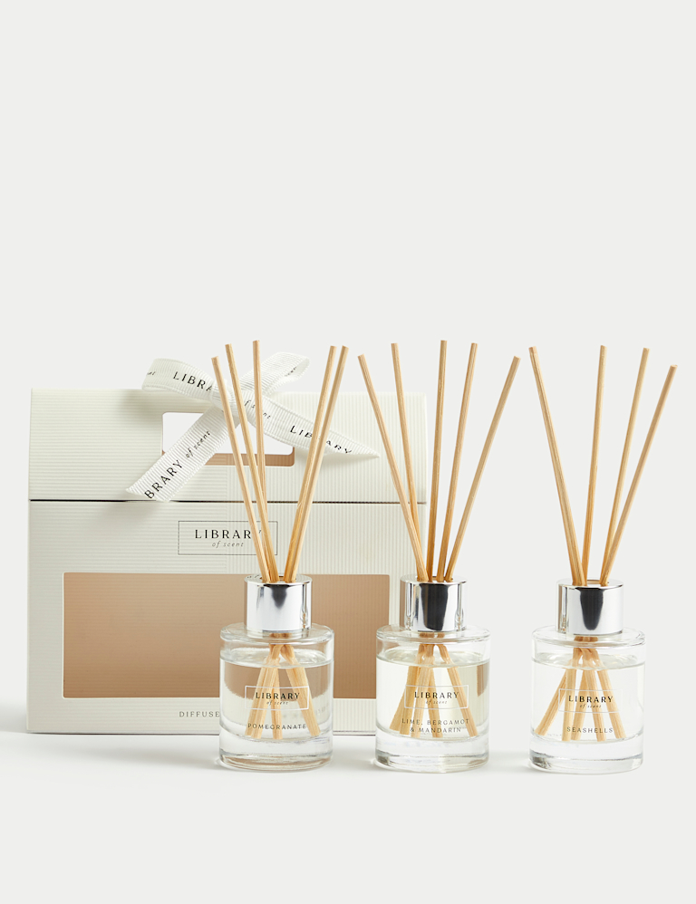 Mini Diffuser Gift Set