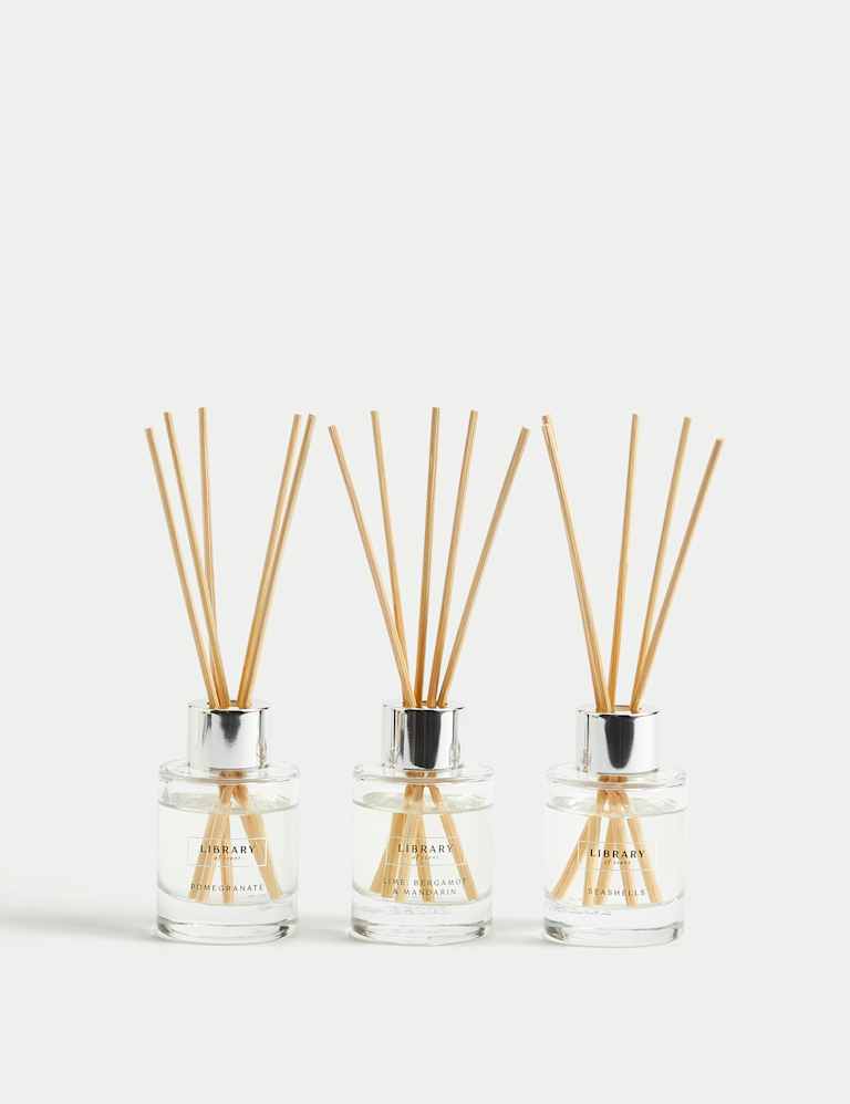 Mini Diffuser Gift Set