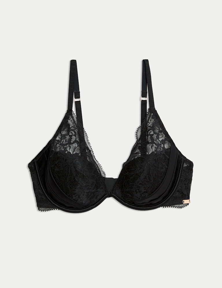 Silk & Lace Wired Plunge Bra A-E