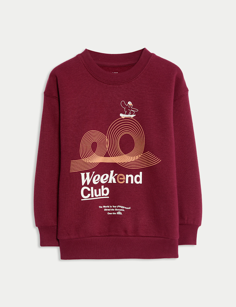 Cotton Rich Graphic Sweatshirt (2-8 Yrs)