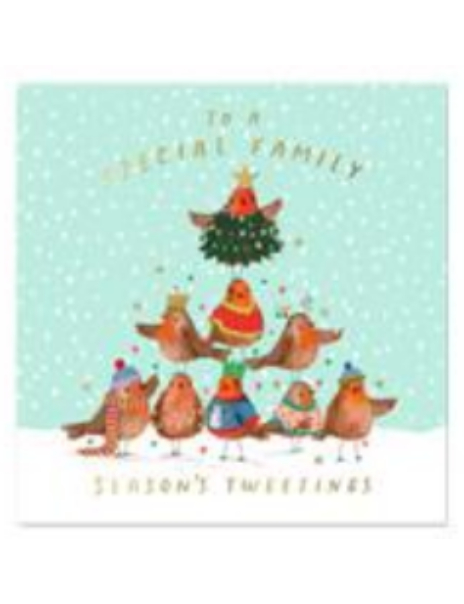 Family Robin Single Card