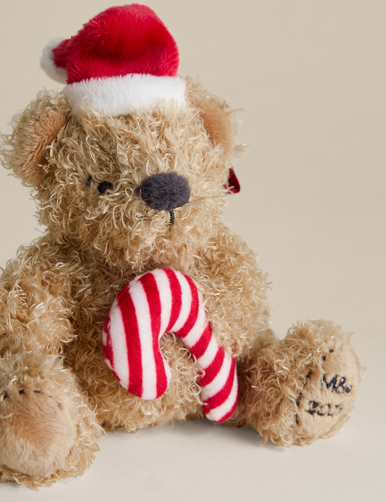 Plush Hanging Spencer Bear™ Decoration