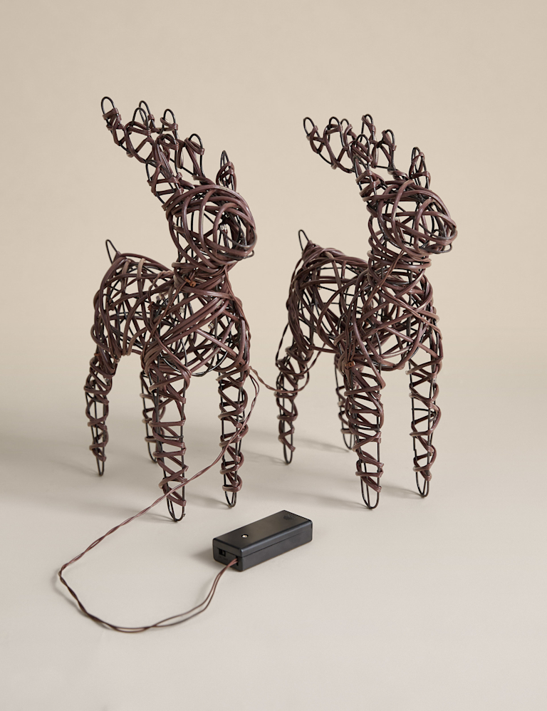 Set of 2 Light Up Reindeer Decorations