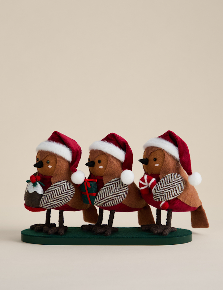 Robin Trio Room Decoration