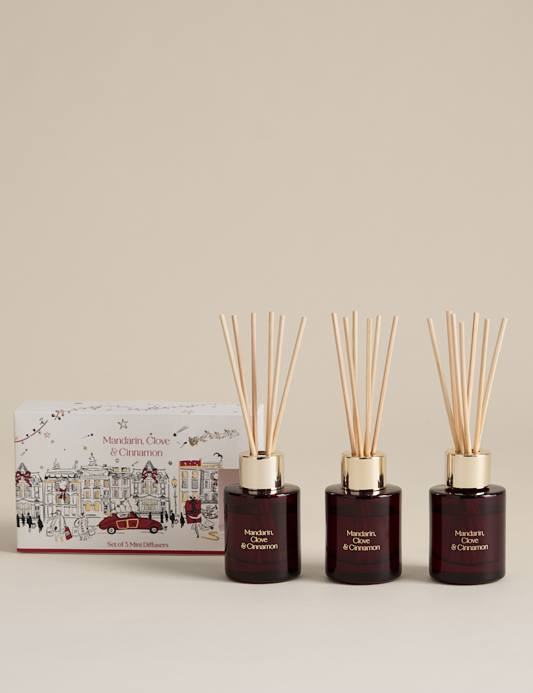 Set of 3 Mandarin, Clove & Cinnamon Mini Diffusers