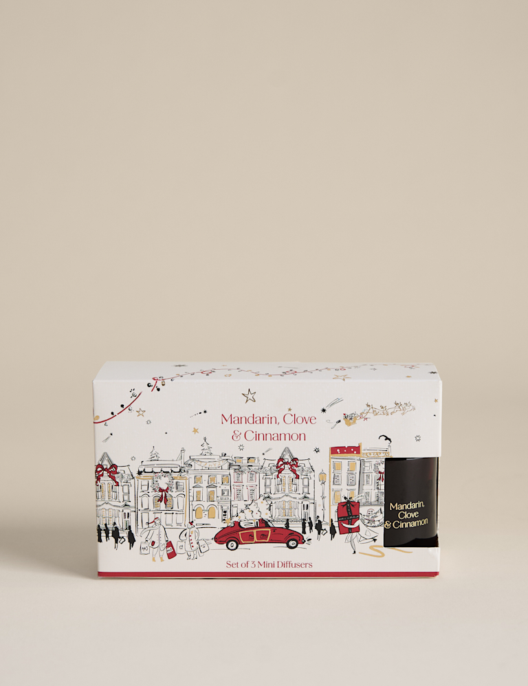 Set of 3 Mandarin, Clove & Cinnamon Mini Diffusers