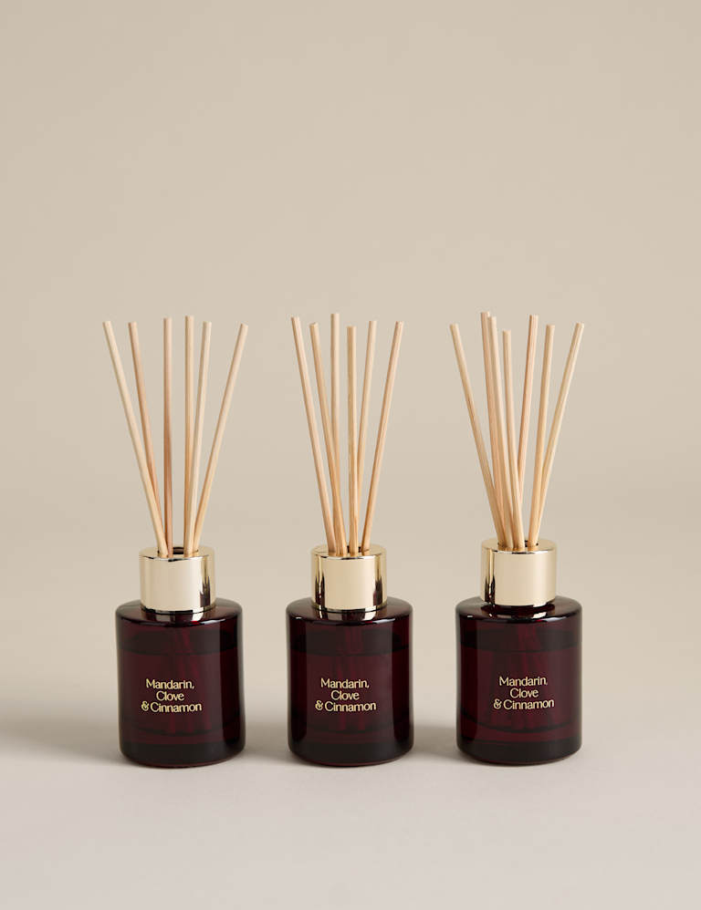 Set of 3 Mandarin, Clove & Cinnamon Mini Diffusers