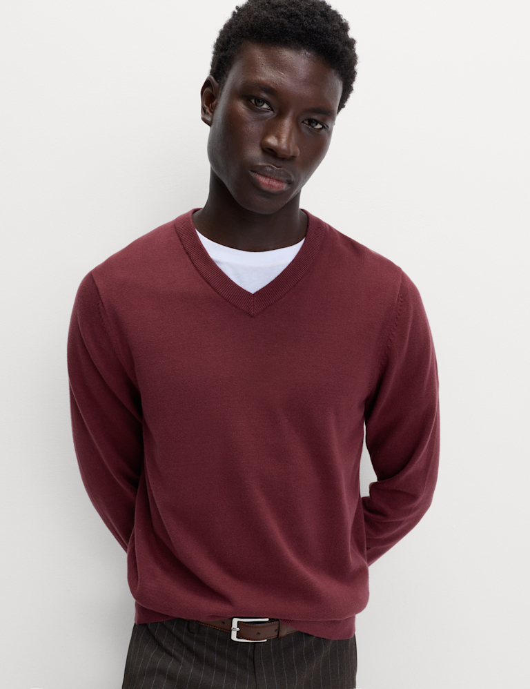 Pure Cotton V-Neck Jumper