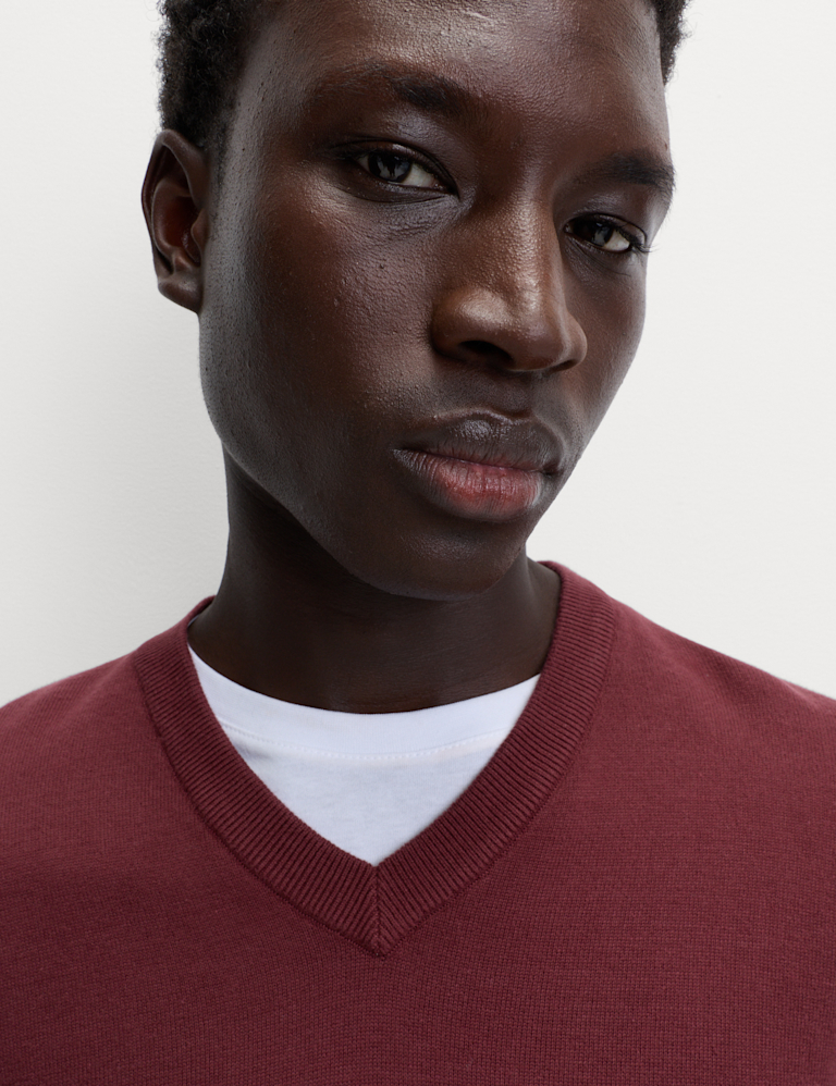 Pure Cotton V-Neck Jumper