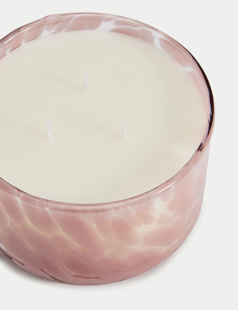 Lychee & Dragonfruit Confetti 3 Wick Candle