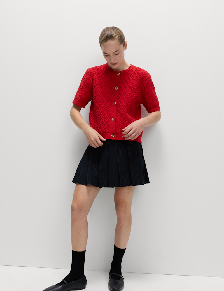 Pinstripe Pleated Mini Skirt Pinstripe Pleated Mini Skirt