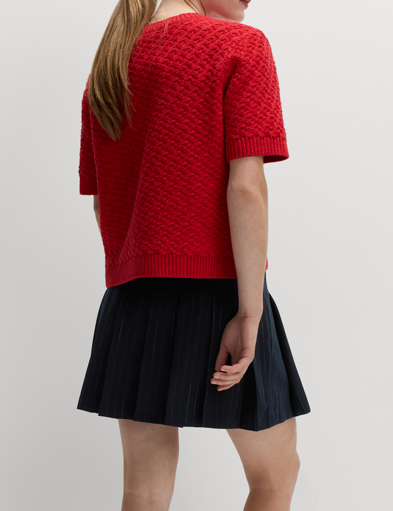 Pinstripe Pleated Mini Skirt