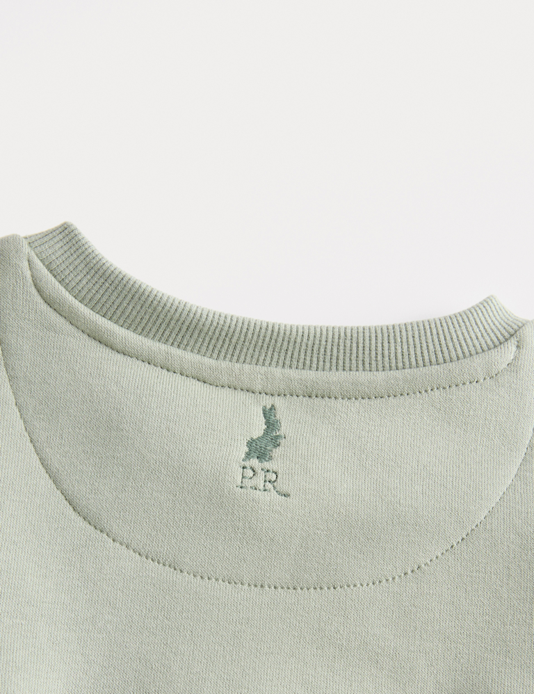 2pc Cotton Rich Peter Rabbit™ Sweat Outfit (0-3 Yrs)
