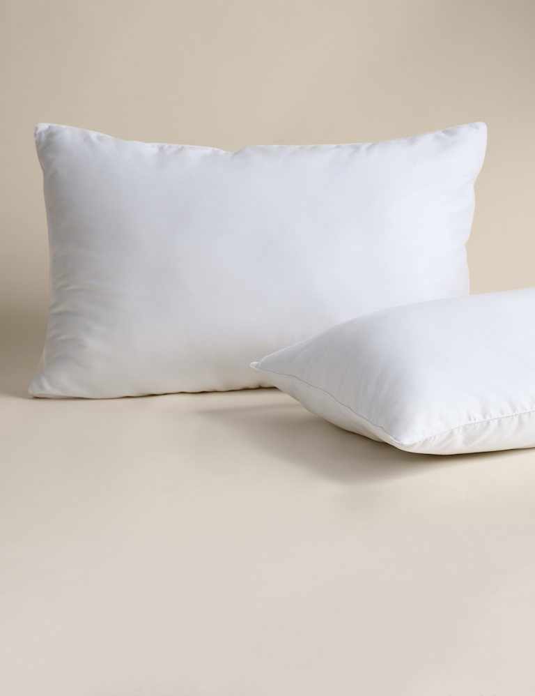 2pk Luxury Down Alternative Soft Pillows