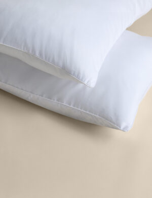 2pk Luxury Down Alternative Soft Pillows