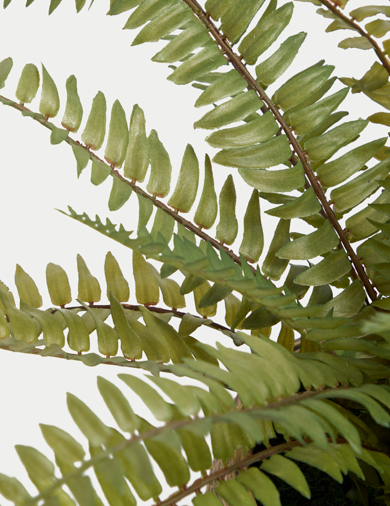 Artificial Fern Plant In Pot