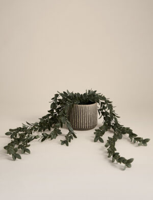 Artificial Trailing Boxwood in Ceramic Pot